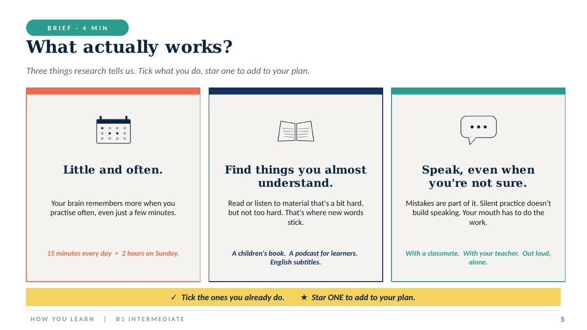 Slide showing three things that actually work in language learning